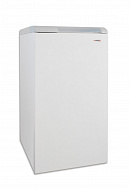 Напольный чугунный газовый котел Protherm Медведь (Bear) 30 TLO 30TLOR15, одноконтурный, открытая камера, 27 кВт 