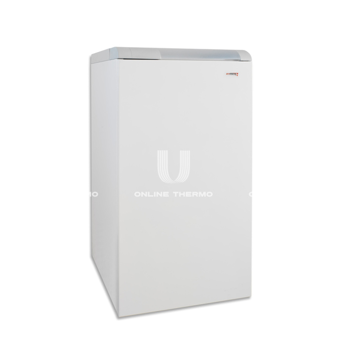 Напольный чугунный газовый котел Protherm Медведь (Bear) 40 TLO 40TLOR15, одноконтурный, открытая камера, 35 кВт 